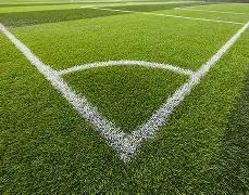 弗洛雷斯力,捧小因成国,米红人,皇冠体育app下载,皇冠体育官网,澳门皇冠体育,bet皇冠体育在线